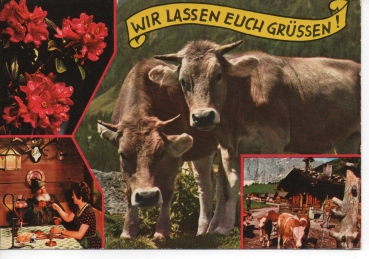Ansichtskarte "Wir lassen euch grüssen!"